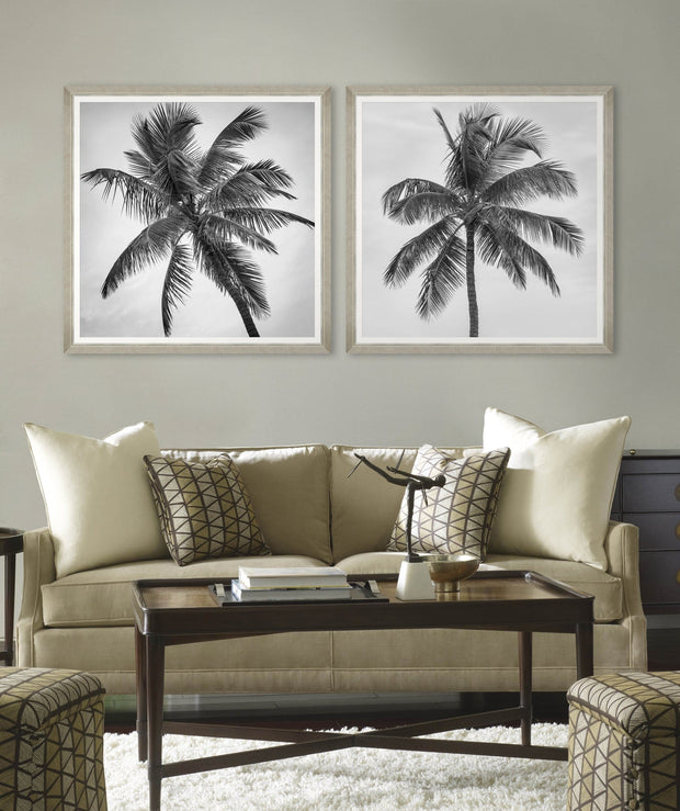 Tablou Framed Art Palm Splendor II (1)