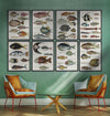 Tablou Framed Art Poissons Ecrevis II (1)