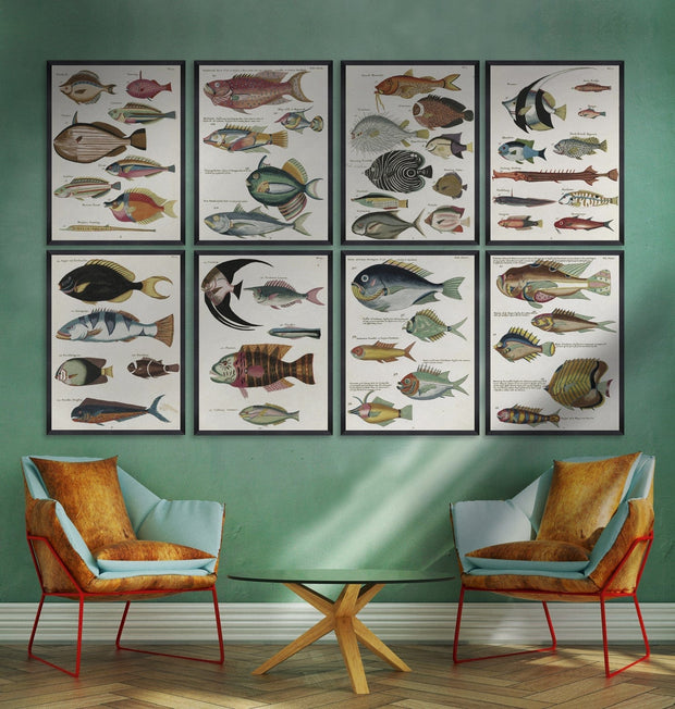 Tablou Framed Art Poissons Ecrevis V (1)