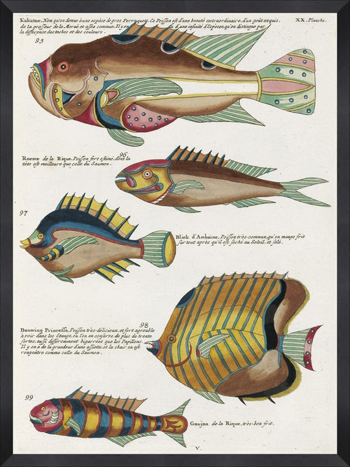 Tablou Framed Art Poissons Ecrevis VIII