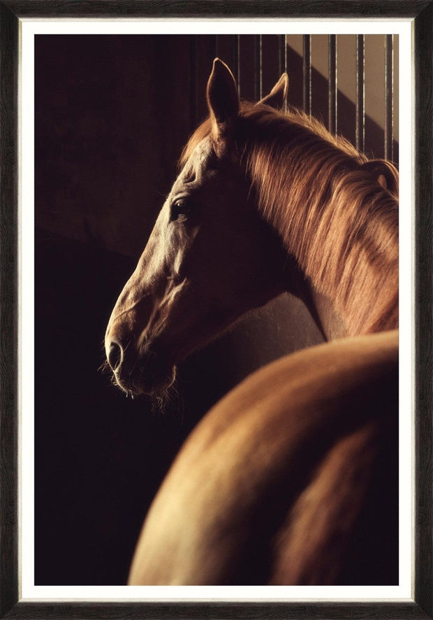 Tablou Framed Art Stunning Racehorse