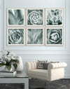 Tablou Framed Art Succulent I (1)