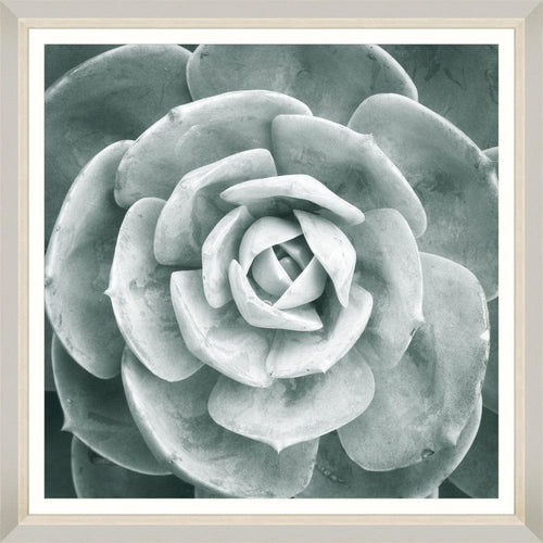 Tablou Framed Art Succulent II