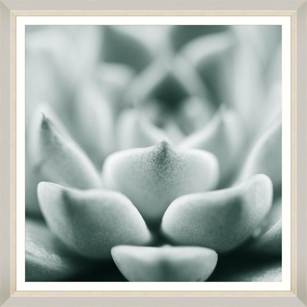 Tablou Framed Art Succulent III