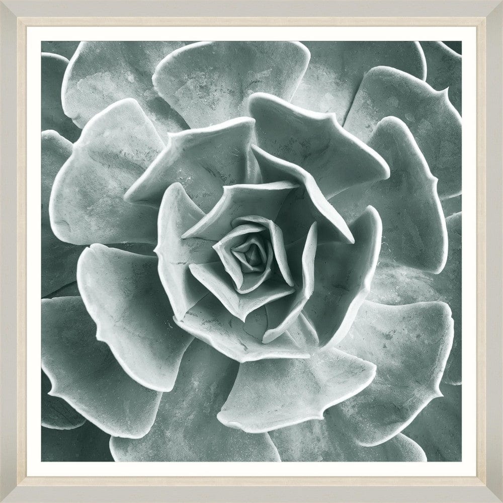 Tablou Framed Art Succulent IV