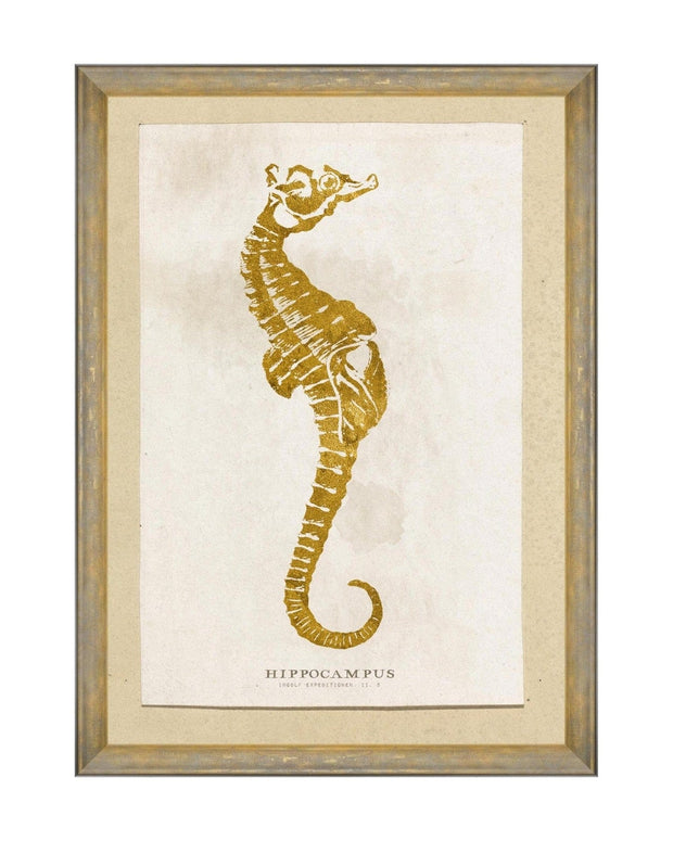 Tablou Framed Art Caribbean Sea Life - Hippocampus, 50 x 70 cm