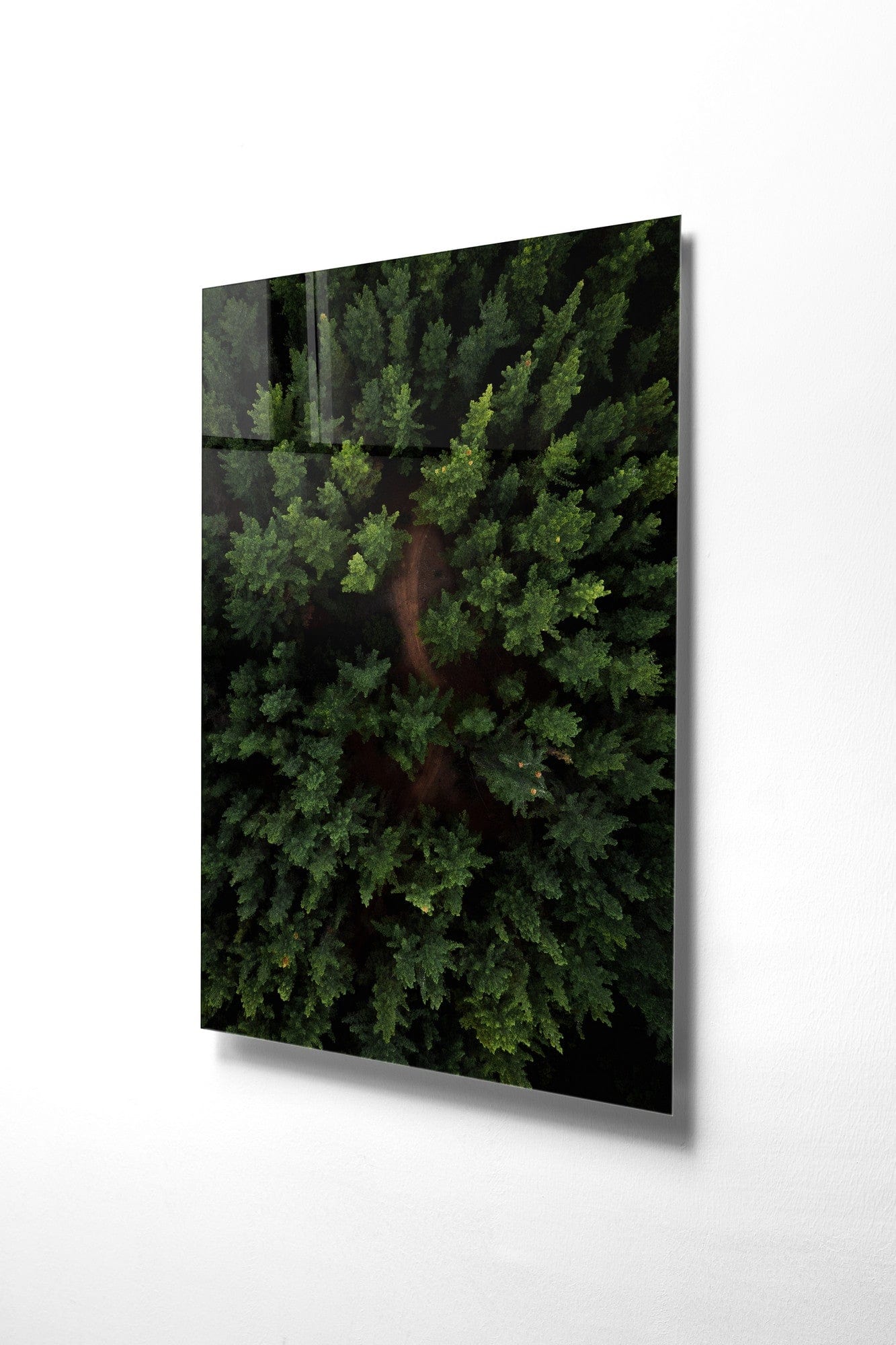 Tablou Sticla Above The Forest 1170 Verde, 30 x 45 cm (3)