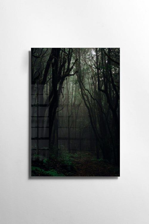 Tablou Sticla Dark Forest 1156 Multicolor, 30 x 45 cm