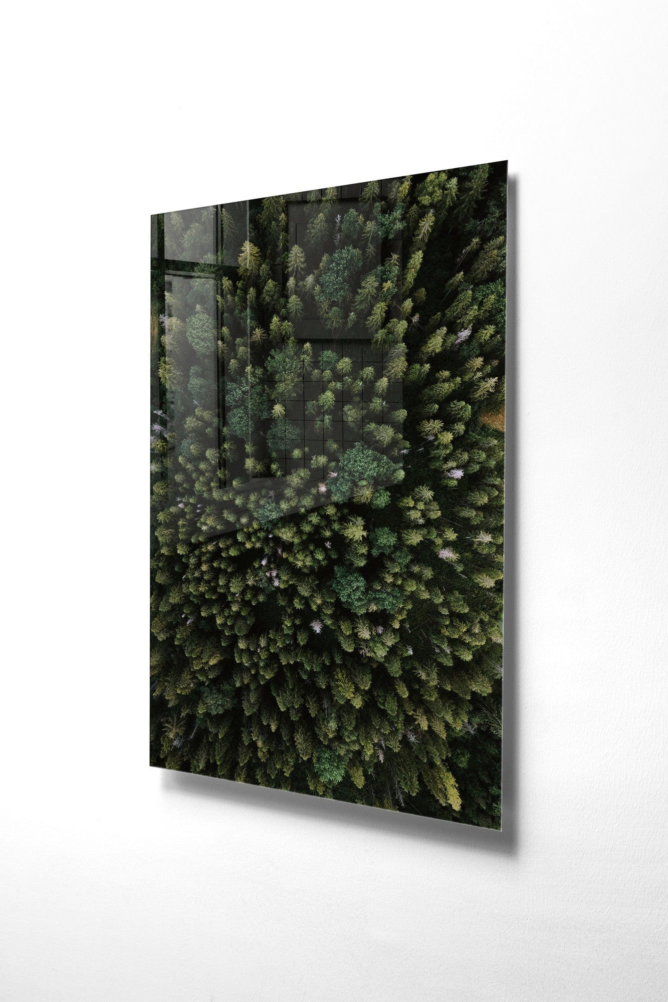 Tablou Sticla Dolan 1163 Verde, 30 x 45 cm (3)
