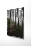 Tablou Sticla Munro 1147 Multicolor, 30 x 45 cm (3)