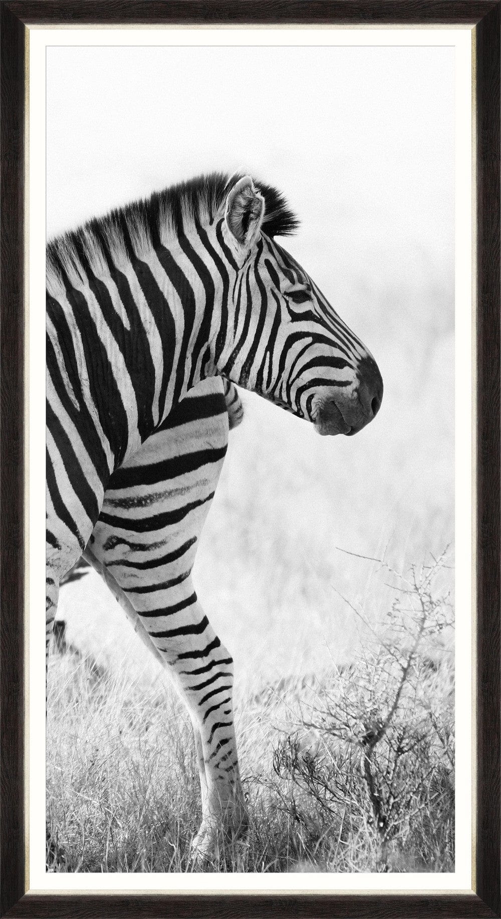 Tablou 3 piese Framed Art Zebra Pair (2)